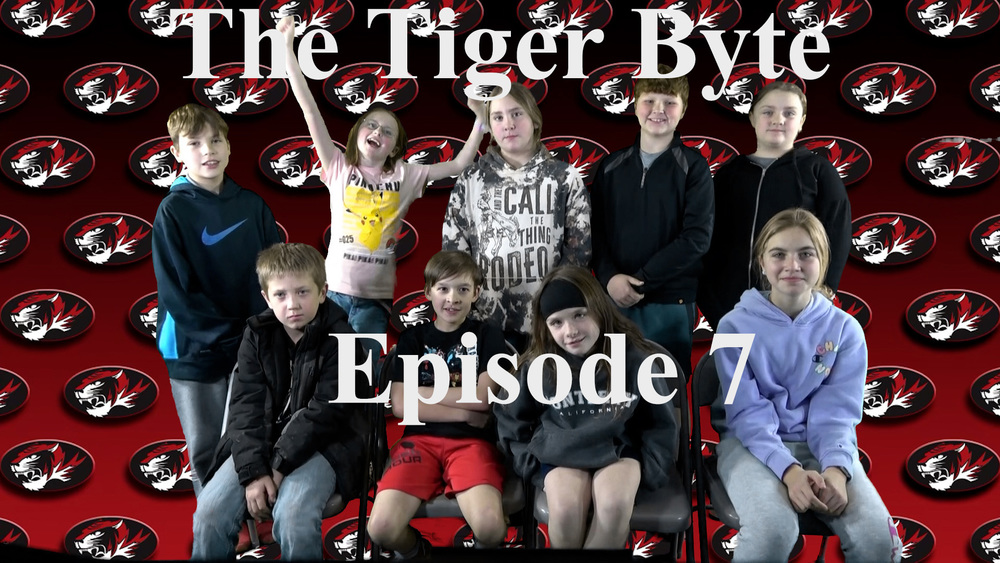 Tiger Byte