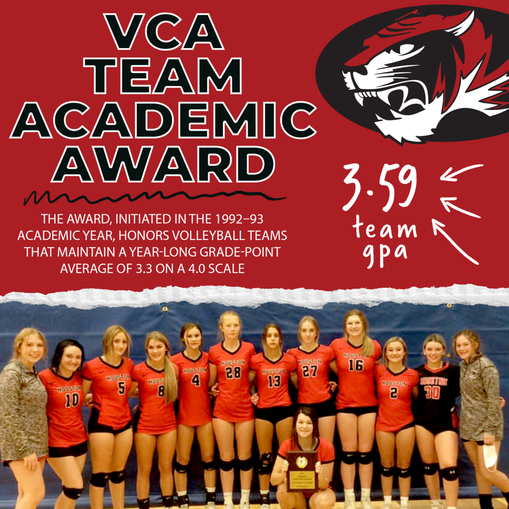 AVCA Team Academic Award 
